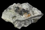 Metallic Pyrargyrite Crystals on Quartz - Mexico #127010-1